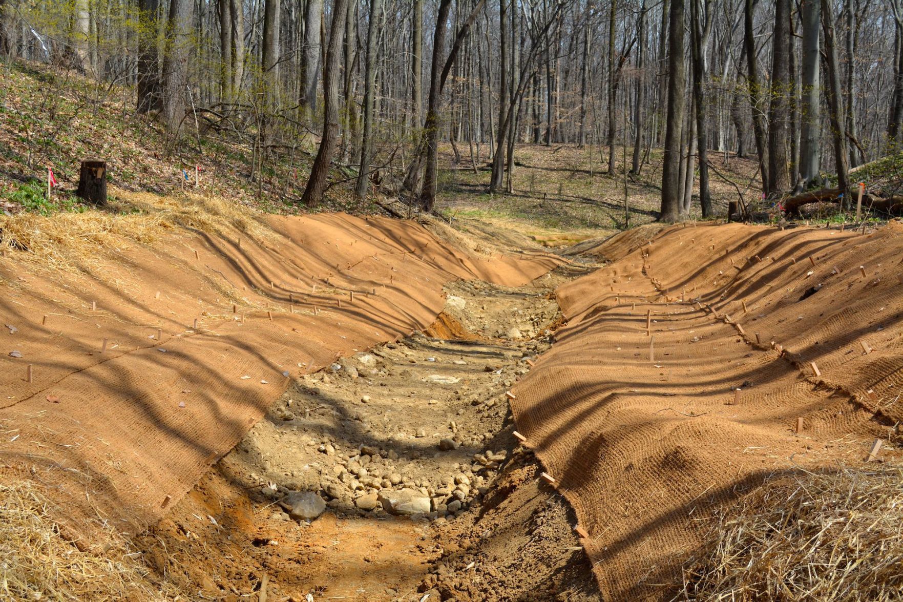 ShoreRivers offers look at stream restoration projects